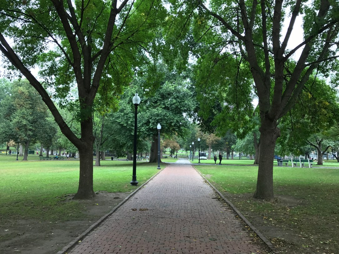 2017-09-19 15.35.51 HDR