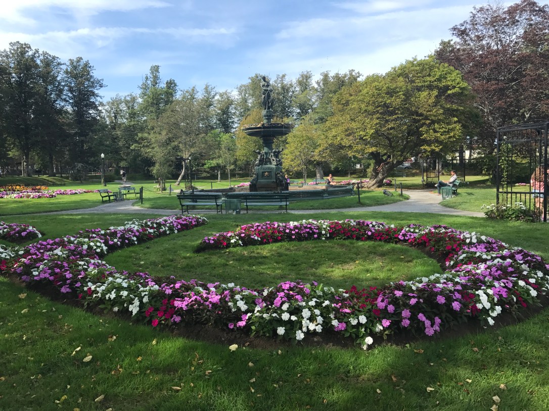 2017-09-26 15.00.50-1