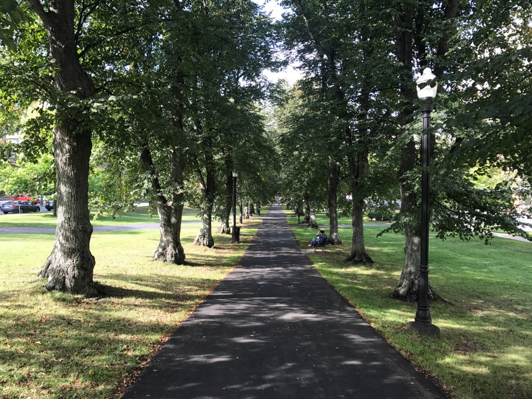 2017-09-26 15.16.02-1