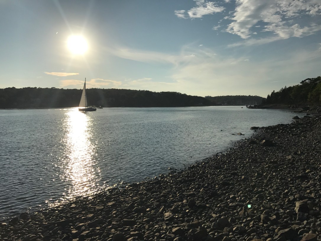 2017-09-26 17.50.36-1