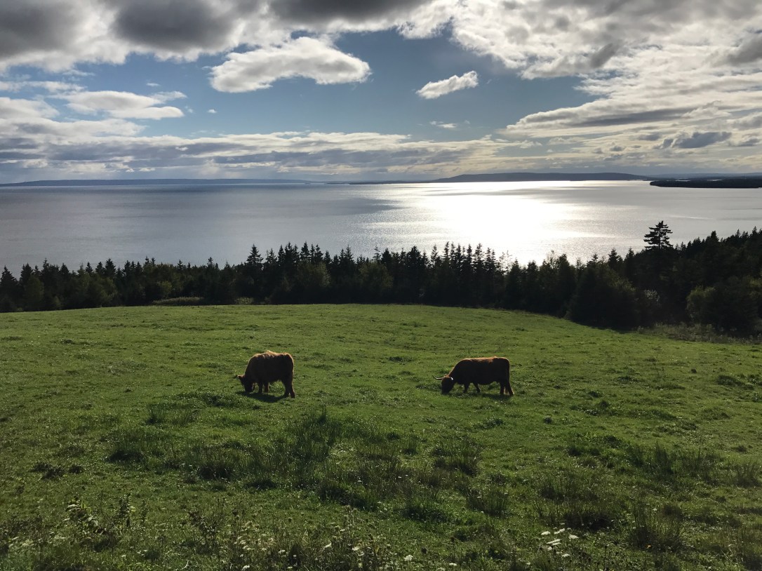 2017-09-30 15.55.27-1.jpg