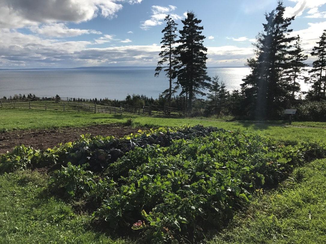 2017-09-30 16.02.09-1