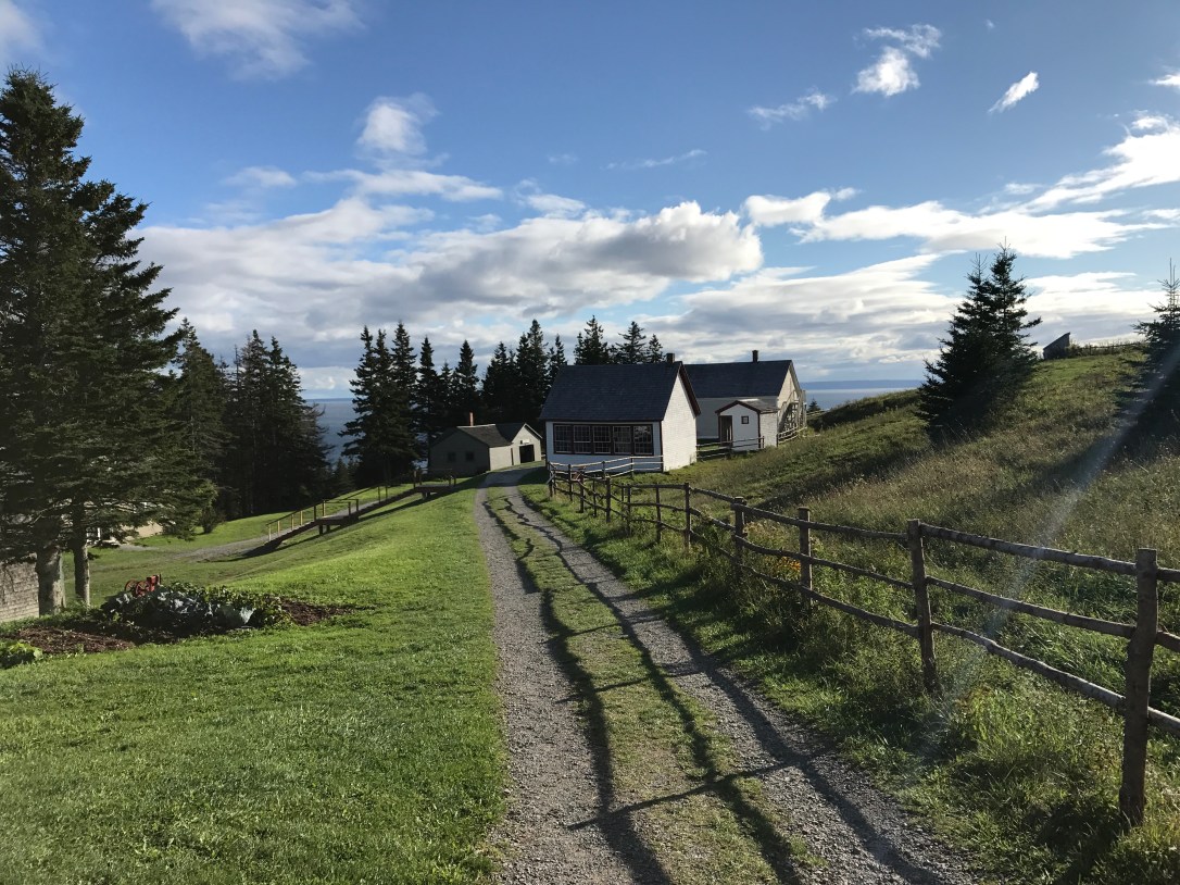 2017-09-30 16.24.35.jpg