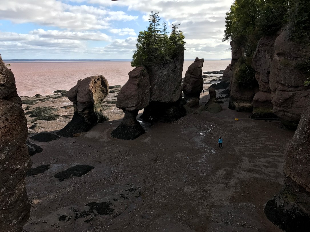 2017-10-02 15.48.09 HDR