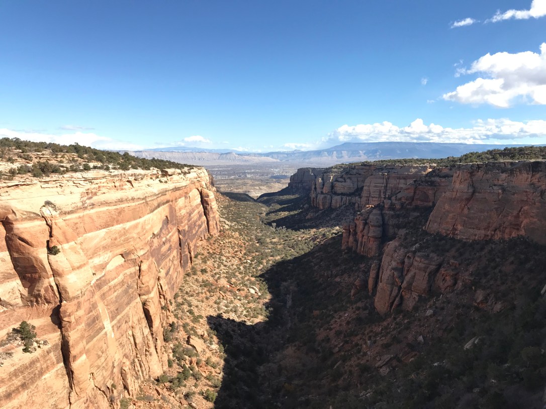 2017-11-07 11.25.24-1