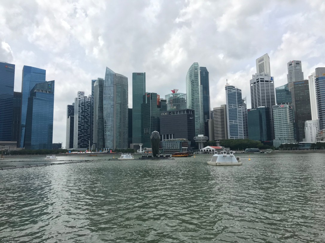 2018-01-27 13.15.05 HDR