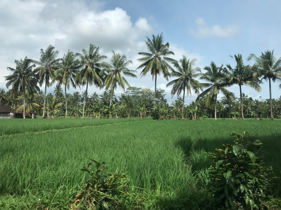 2018-01-30 14.53.28-2